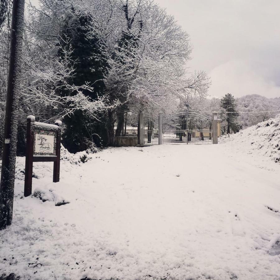 Agriturismo Acquafredda Villa Mormanno Exteriör bild